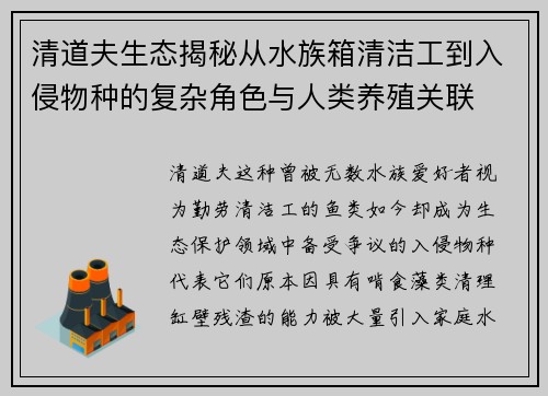 清道夫生态揭秘从水族箱清洁工到入侵物种的复杂角色与人类养殖关联